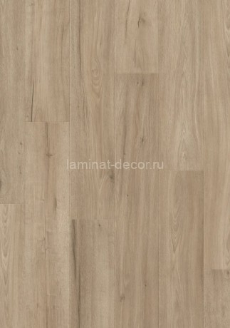 Заказать Ламинат Balterio Everest EVR61102 Дуб горный 32 класс 12 мм 