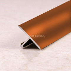 Алюминиевый Т-профиль ПТ-10 Бронза глянец 2,7 м