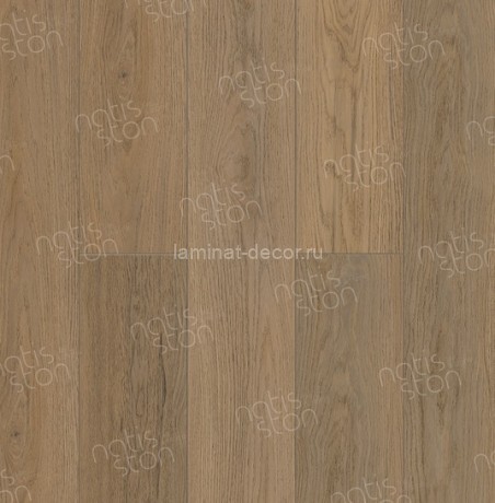 Заказать SPC ламинат NatisSton Essential Rena 5002-01 43 класс 1220х183 под дерево 4 мм