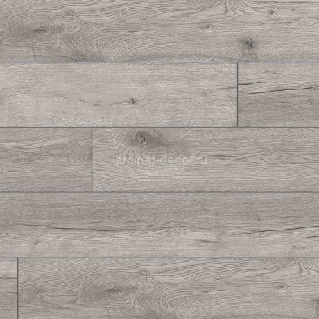 Заказать Ламинат Classen Sensa Pool  Aqua Protect 56875 Cream oak Дуб кремовый 33 класс 10 мм 