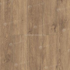 Каменно-полимерный ламинат SPC Alpine Floor Grand Sequoia Light ECO 11-701 Гевуина замок микро фаска 1220х183х3.5 мм 34 класс упаковка 2.23 м2 14 кг
