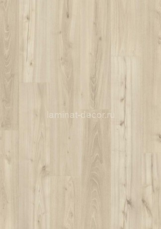 Заказать Ламинат Balterio Quattro Plus QPL61061 Дуб серебристый 32 класс 8 мм