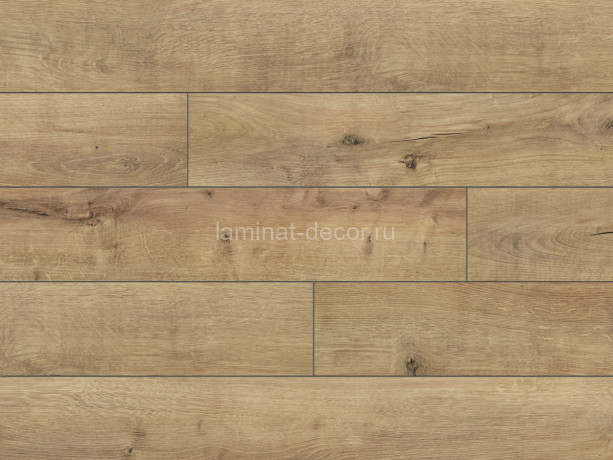 Заказать Ламинат Classen Pool Aqua Protect 52345 Oak light natural Дуб светлый натуральный 32 класс 8 мм 