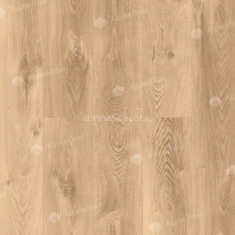 Заказать ABA ламинат Alpine Floor Premium XL ECO 7-6 Дуб Природный Изысканный LVT-SPC-LVT замок 4V-Groove фаска 1524х180х8 мм 43 класс упаковка 2.195 м2 27 кг
