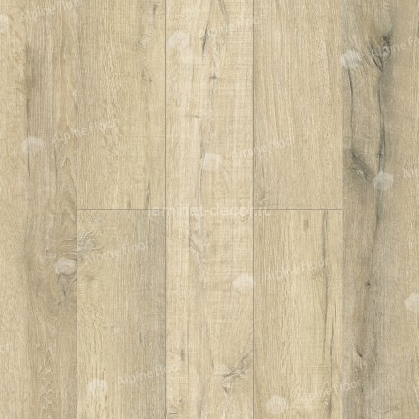 Заказать ABA ламинат Alpine Floor Premium XL ECO 7-19 Дуб Сливочный LVT-SPC-LVT замок 4V-Groove фаска 1220х183х8 мм 43 класс упаковка 1.786 м2 27 кг 