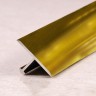 Заказать Алюминиевый Т-профиль ПТ-10 золото глянцевое 2,7 м 