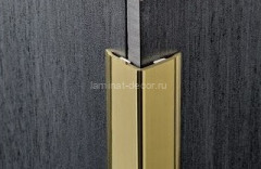 Латунный уголок Progress PEGOL 15А 15х15 латунь полированная 2,7 м