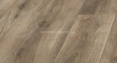 Ламинат HDF Kronopol Sigma Дуб Андромеда SI 5380 8 мм