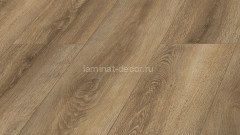 Ламинат HDF Kronopol Sigma Дуб Лариса SI 5384 8 мм